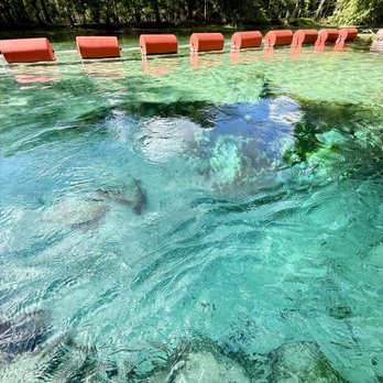 Rum Island Park - There's a turquoise limestone cavity sitting at the bottom of Rum Island Springs, pumping out the pool's 72 degree waters. - Parks Near Me - Fort White, Florida Rum Island Park - There's a turquoise limestone cavity sitting at the bottom of Rum Island Springs, pumping out the pool's 72 degree waters. - Parks Near Me - Fort White, Florida