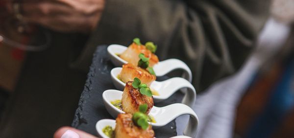 Cultivar San Francisco by null