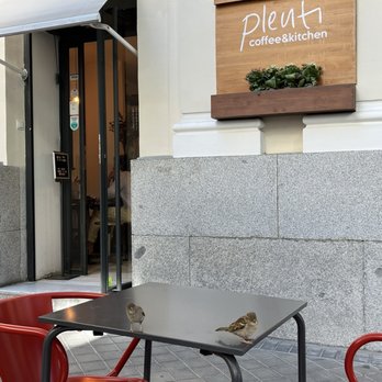 Plenti - Plnti - Coffee & Tea Near Me - Madrid, M Plenti - Plnti - Coffee & Tea Near Me - Madrid, M