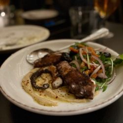 Osa - Octopus
