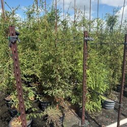 Wagner Tree Farm