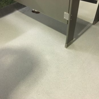 The Right Painter - Restroom flooring - Painters Near Me - San Diego, California The Right Painter - Restroom flooring - Painters Near Me - San Diego, California