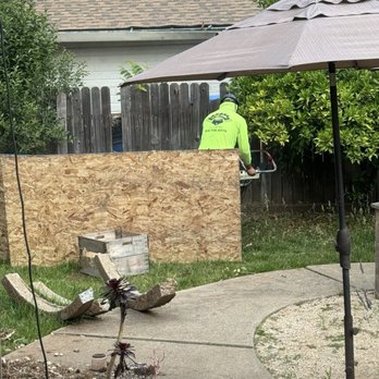 A J Tree Service - Put up wood to make sure debris didn't fly everywhere - Tree Services Near Me - Sacramento, California