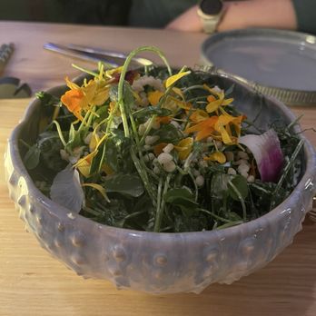 Terra Mae - Wasabi salad - Japanese Near Me - Portland, Oregon