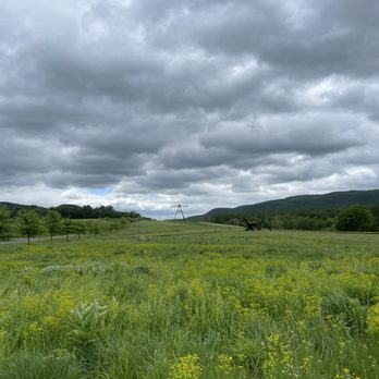 Storm King Art Center - Art Museums Near Me - New Windsor, New York