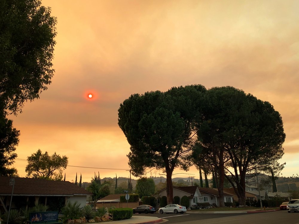Shepherd International Shipping Honolulu photo 2