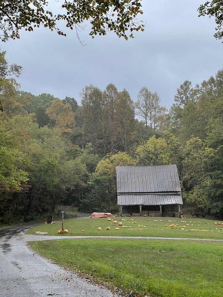 CHOESTOE FARMS Updated October 2024 32 Photos 130 Twiggs Rd, Blairsville, Pick