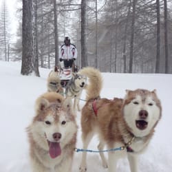 Centro Sleddog Sestriere