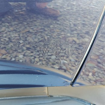 Rountree Moore Ford - Same runs in the paint on previously undamaged door RF and more debris in that paint. - Car Dealers Near Me - Lake City, Florida Rountree Moore Ford - Same runs in the paint on previously undamaged door RF and more debris in that paint. - Car Dealers Near Me - Lake City, Florida