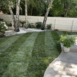 Visionary Landscape - Sod install