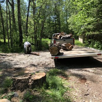 Treeaholics - Dead Ash Removal - Tree Services Near Me Treeaholics - Dead Ash Removal - Tree Services Near Me
