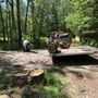 Photo of Treeaholics