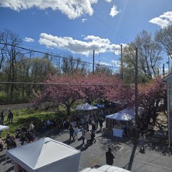 River Trail Brewing - Cherry Blossom Festival - April 2024