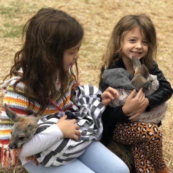 Magnolia Wilds - Holding baby kangaroos - Zoos Near Me - Ethel, Louisiana Magnolia Wilds - Holding baby kangaroos - Zoos Near Me - Ethel, Louisiana