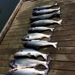 Prowler Charters