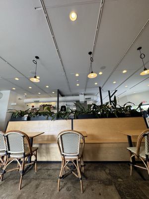 Black Bean Deli-WP by null