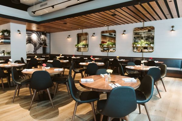 North Italia by null