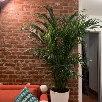 Horticultural Help - Indoor Landscaping Near Me Horticultural Help - Indoor Landscaping Near Me