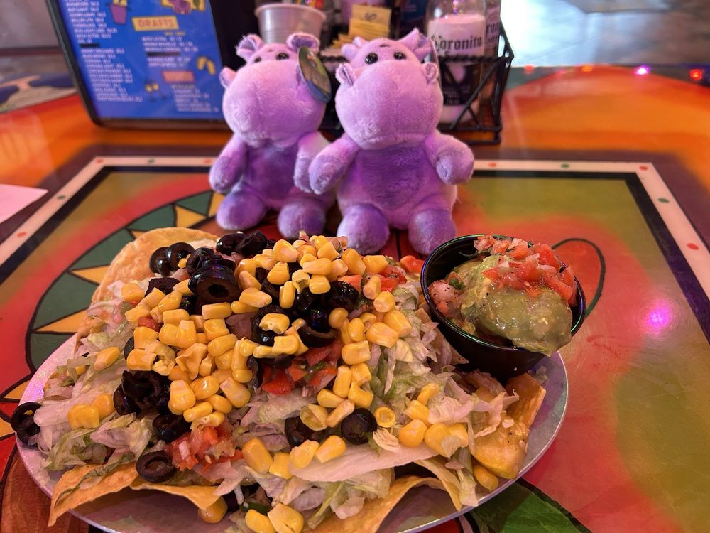 Nacho Hippo