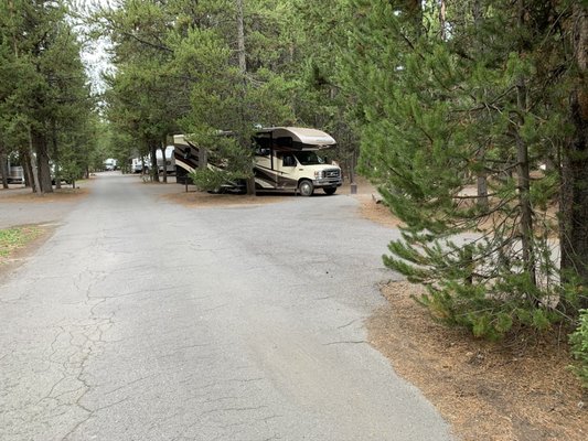 Grant Village Campground by null