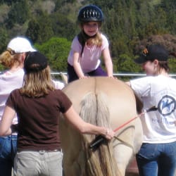 Cadence Therapy - Occupational Therapy session incorporating Hippotherapy
