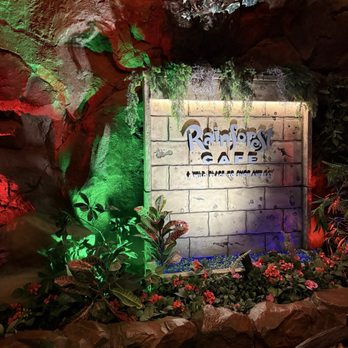 Rainforest Cafe - American Near Me - Sunrise, Florida Rainforest Cafe - American Near Me - Sunrise, Florida