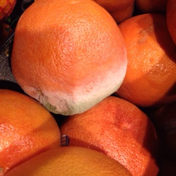 Safeway - That's mold my friends! Be careful when choosing produce. - Grocery Near Me - Rancho Cordova, California Safeway - That's mold my friends! Be careful when choosing produce. - Grocery Near Me - Rancho Cordova, California