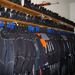 Snorkel Alaska