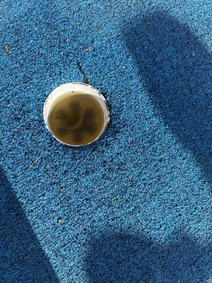 Scandia Family Fun Center by null