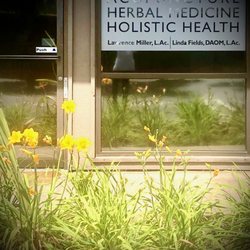 Golden Egg Acupuncture - Sunny flower day