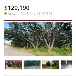 Sharon Barton - Promise Land Properties
