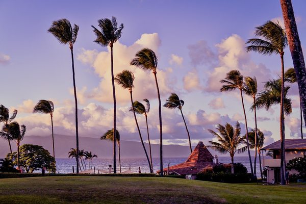Napili Shores Maui by Outrigger by null