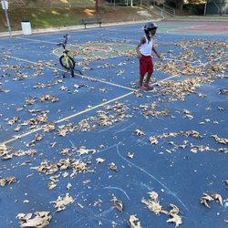 Ladera Park - Fall has come