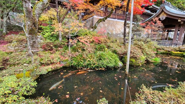 Sakurayama Hachimangu Shrine by null