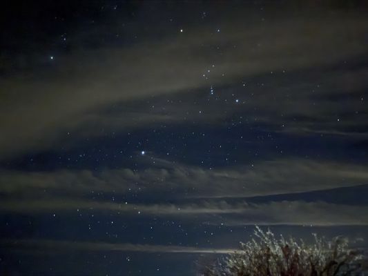 Joshua Tree Lake RV & Campground by null