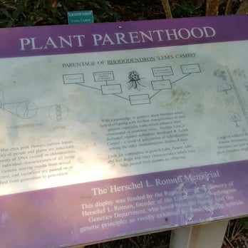 Washington Park Arboretum - In case you need it - Parks Near Me - Seattle, Washington Washington Park Arboretum - In case you need it - Parks Near Me - Seattle, Washington