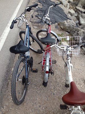 Mackinac Wheels by null