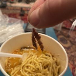 Dashi Noodle House - Disgusting!!! Multiple clumps of hair left in ramen.