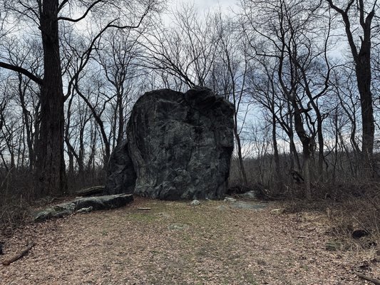 Rockefeller State Park Preserve by null