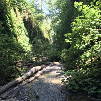 Prairie Creek Redwoods State Park - Fern canyon - Parks Near Me - Orick, California Prairie Creek Redwoods State Park - Fern canyon - Parks Near Me - Orick, California