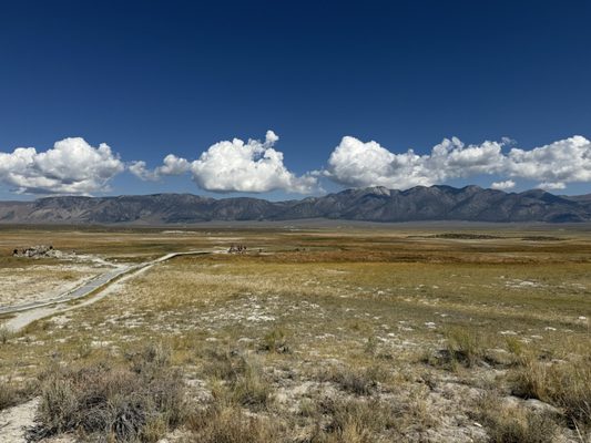 Wild Willy's Hot Spring by null