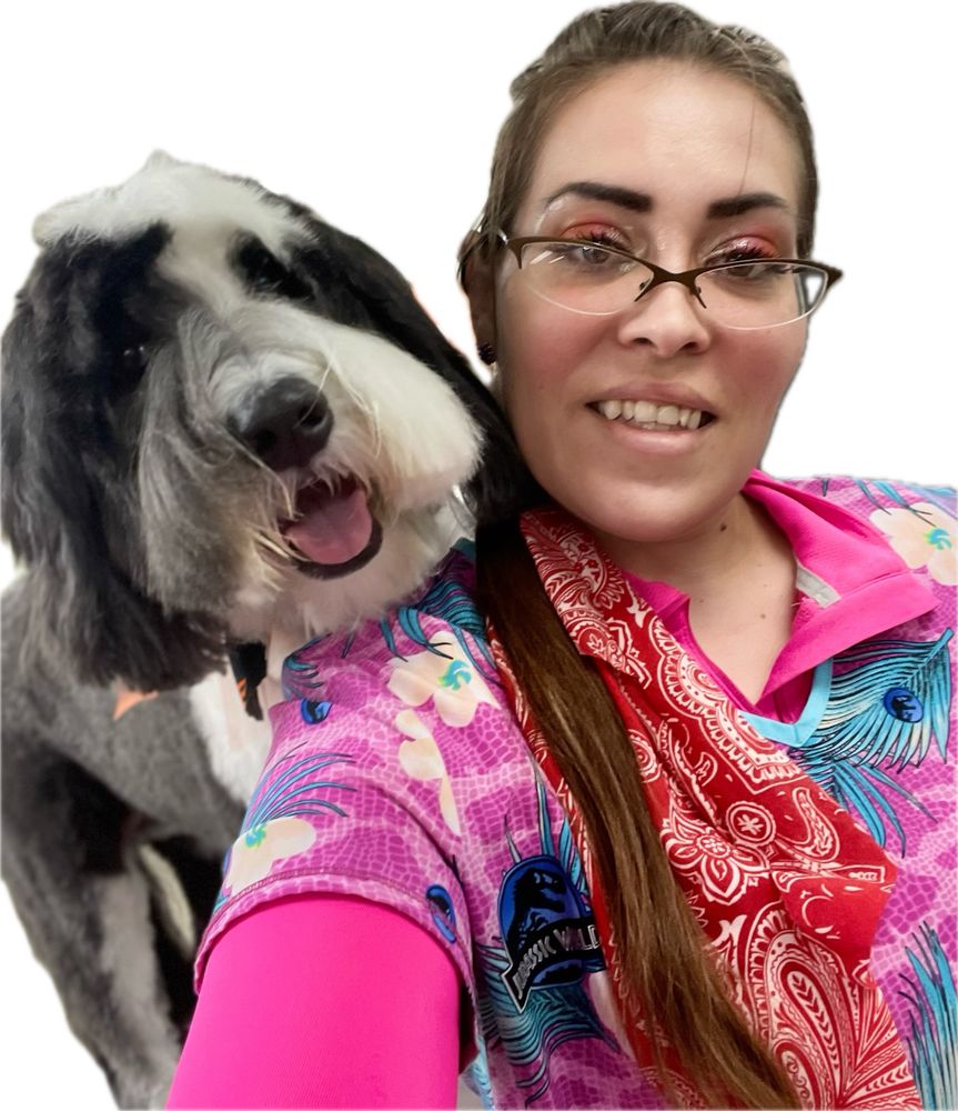 Texas Sweet Cheeks Dog Grooming