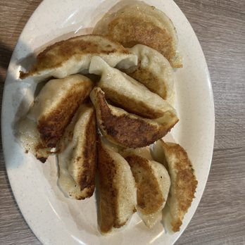 Golden Dumpling House - Pan fried Pork Dumplings - Chinese Near Me - Houston, Texas Golden Dumpling House - Pan fried Pork Dumplings - Chinese Near Me - Houston, Texas