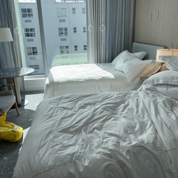 Kimpton Hotel Palomar South Beach - Room view - Hotels Near Me - Miami Beach, Florida Kimpton Hotel Palomar South Beach - Room view - Hotels Near Me - Miami Beach, Florida
