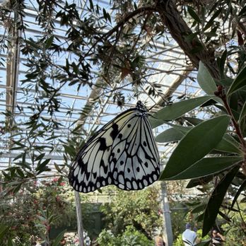 Butterfly Wonderland - Botanical Gardens Near Me - Scottsdale, Arizona