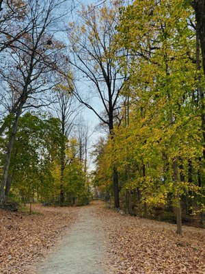 Rockefeller State Park Preserve by null