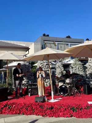 Palisades Village by null