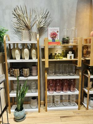 Gia and the Blooms -OTR by null