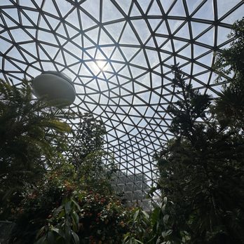 Bloedel Conservatory - Inside - Botanical Gardens Near Me - Vancouver, British Columbia Bloedel Conservatory - Inside - Botanical Gardens Near Me - Vancouver, British Columbia