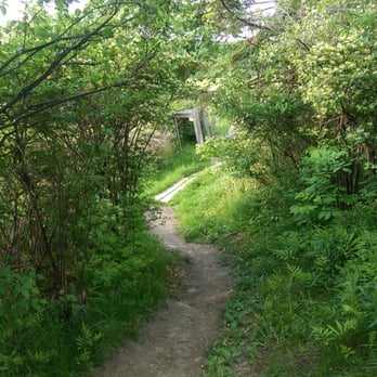 Five Tree Hill Country Park - Hiking Near Me - Williston, Vermont